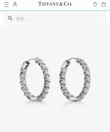 Picture of Tiffany Earring _SKUTiffanyearringlyh1715441